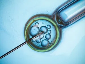 What is ivf treatment