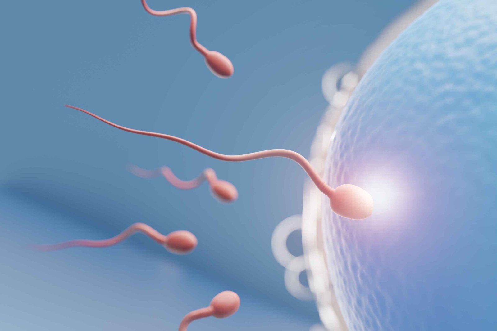 Challenges of Fertility Treatments