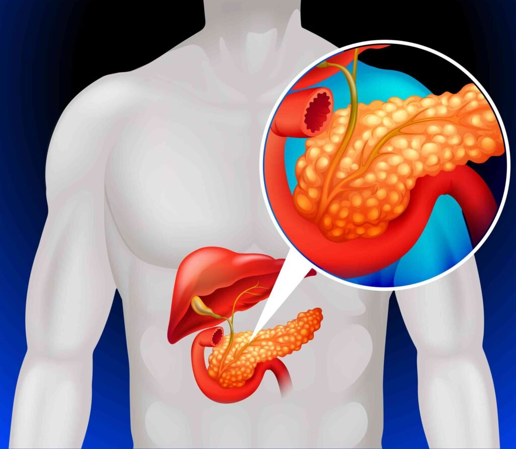 pancreas medicine