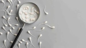 Sperm health 