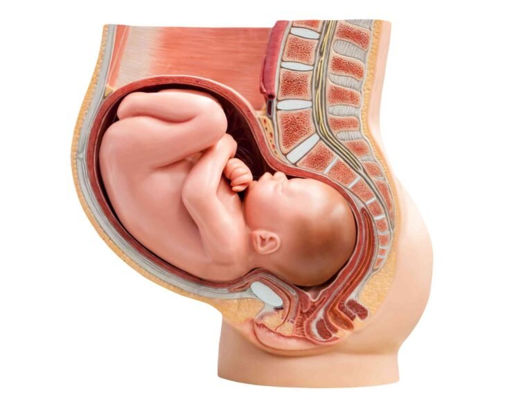 cord prolapse and cord presentation