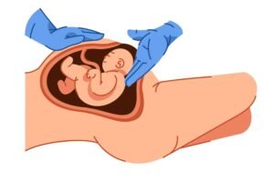 amniotic fluid during pregnancy